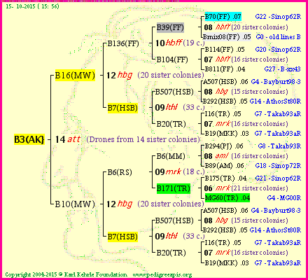 Pedigree of B3(AK} :
four generations presented